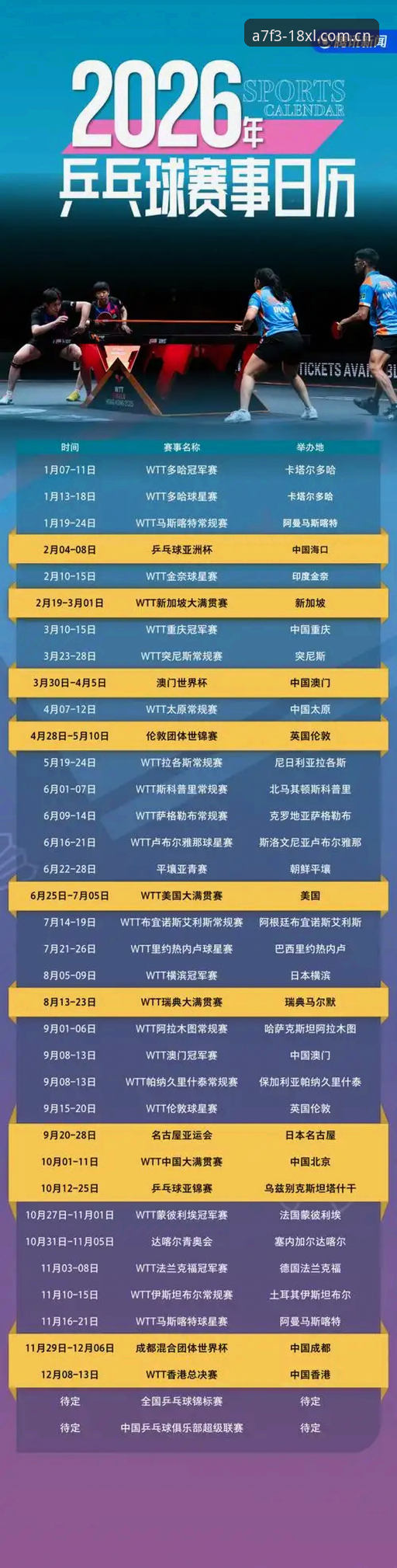 2026新利赛事资讯完整指南：从安装到实战的详细攻略